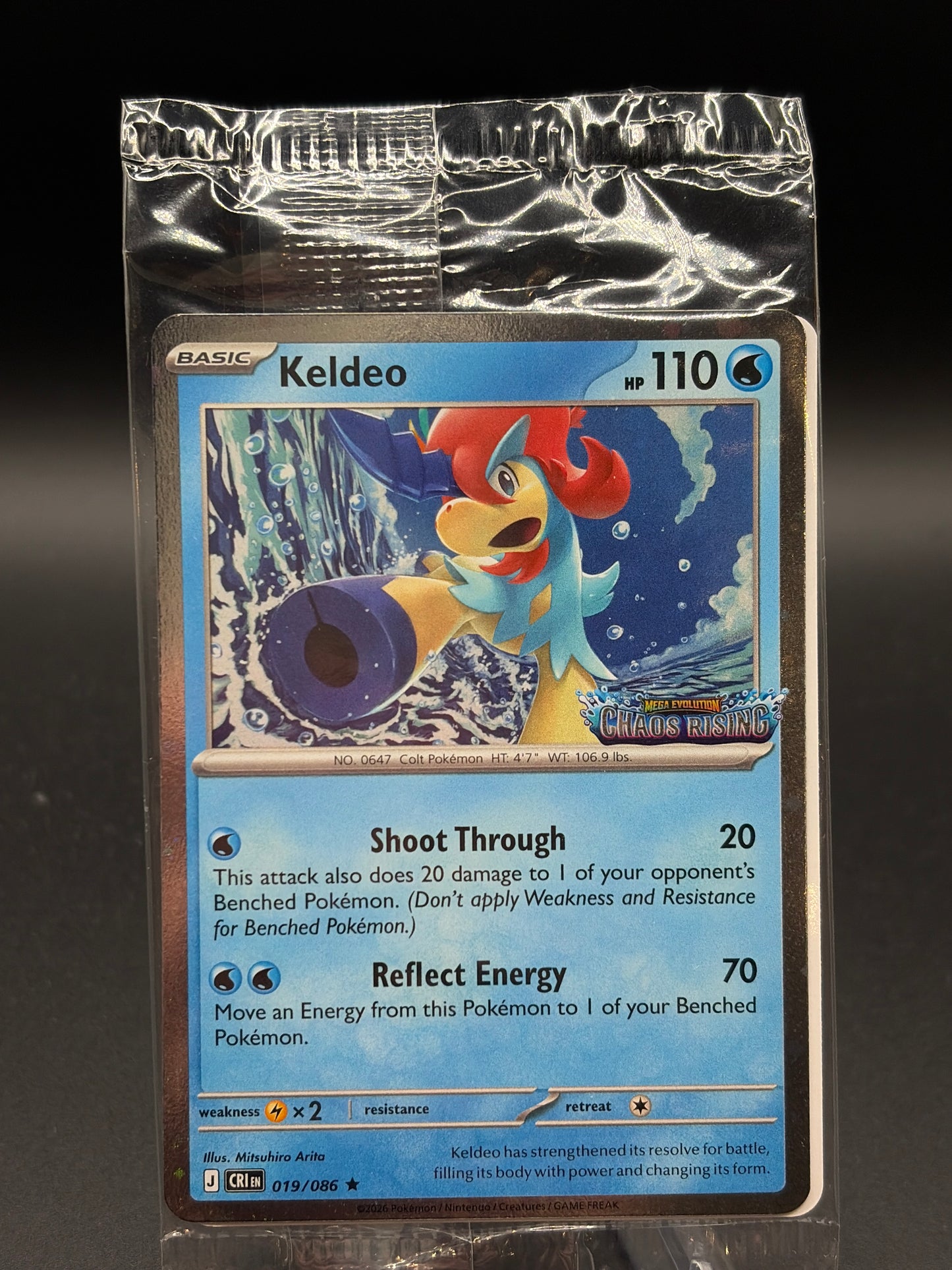 Pokémon TCG: Keldeo - 019/086 (Chaos Rising Stamped) (Sealed)