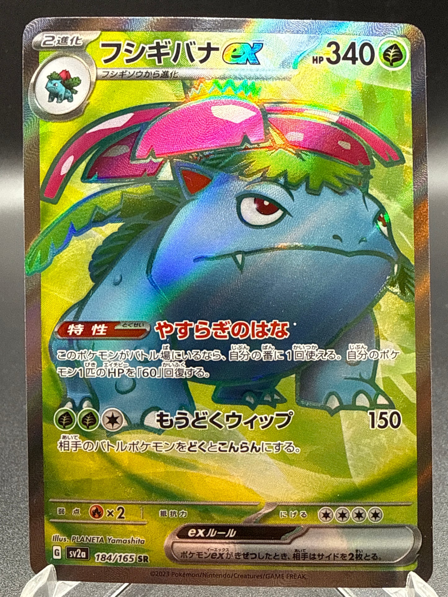 Pokemon TCG: 2023 Japanese Venusaur ex 184/165 151 SV2a
