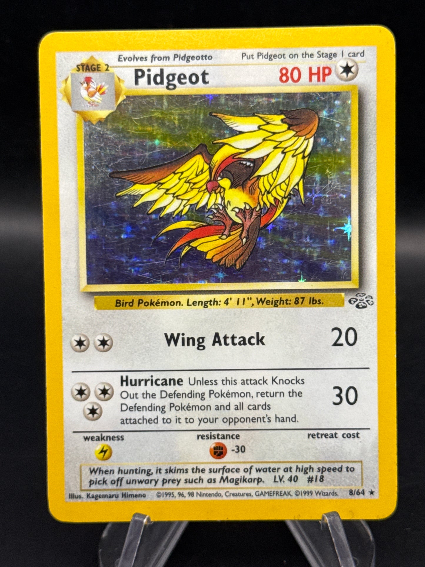 Pokémon TCG: 1999 Pidgeot - 8/64 - Jungle Unlimited Holo