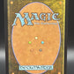 MTG TCG: Abandoned Air Temple (Foil) - TLA: Avatar the Last Airbender