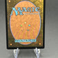 Magic The Gathering: Terrasymbiosis - Edge of Eternities (EOE)