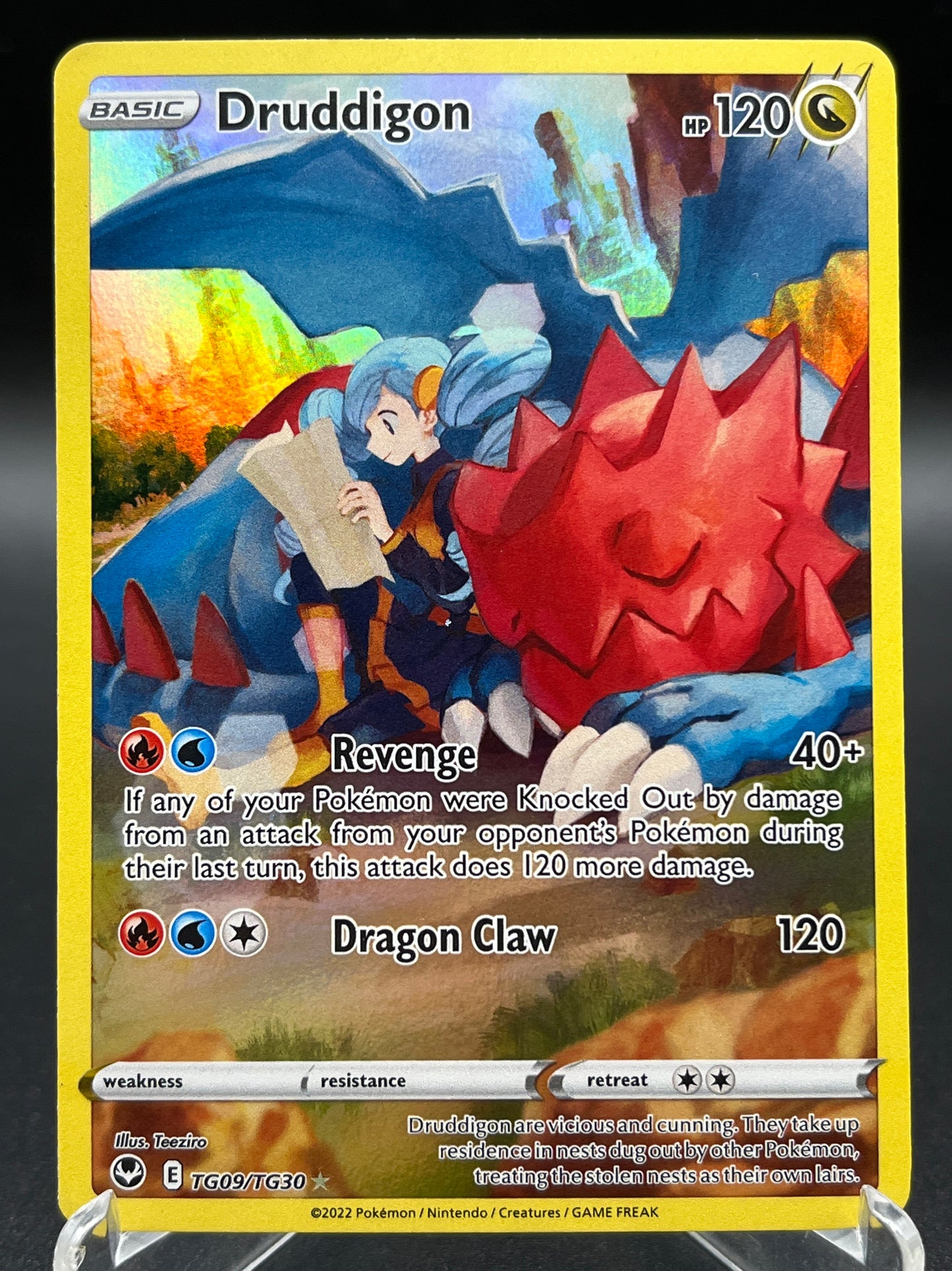 Pokémon TCG: 2022 Druddigon TG09/TG30 Silver Tempest Trainer Gallery (Lightly Played)