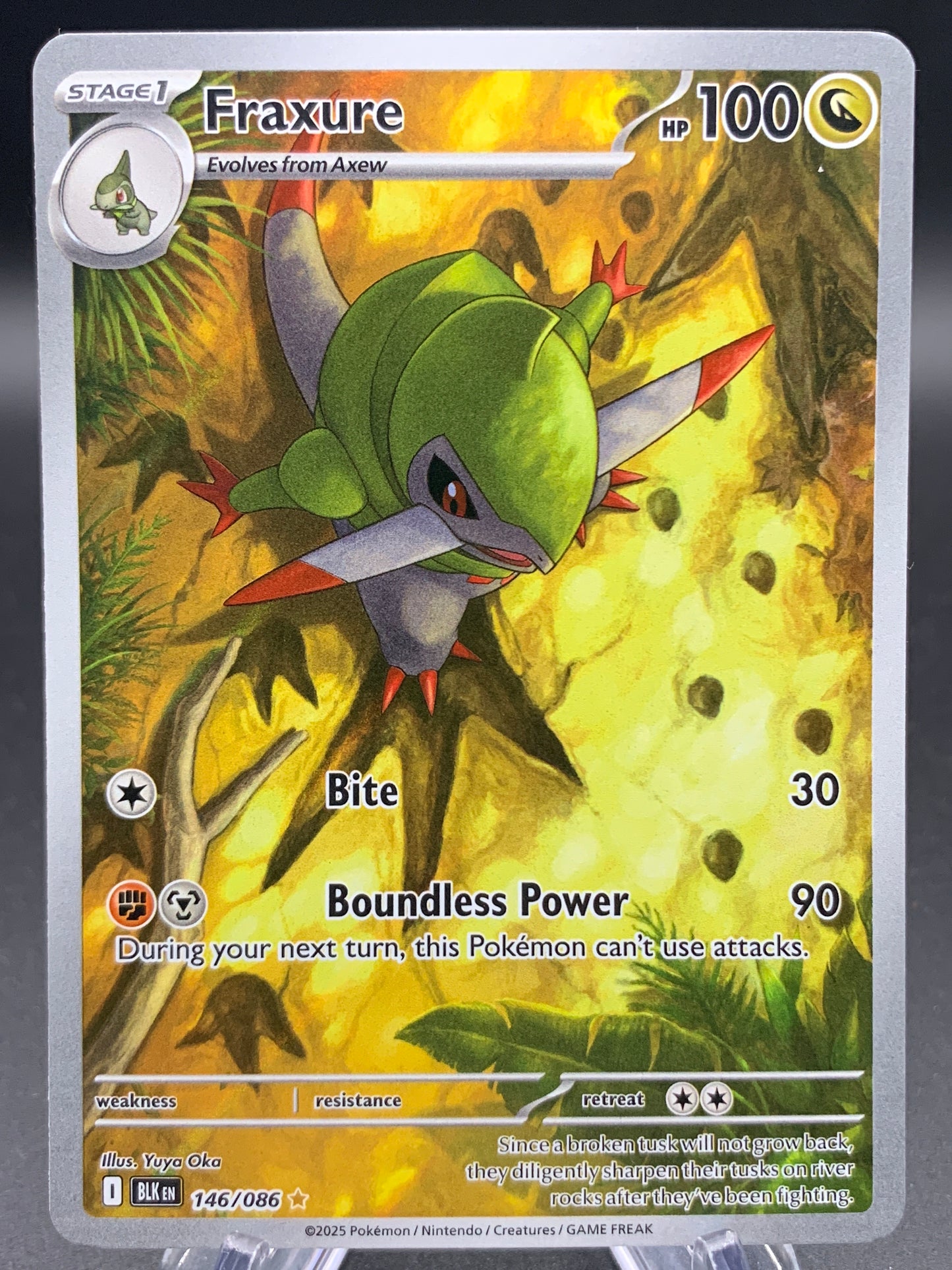 Pokémon TCG: 2025 Fraxure - 146/086 - SV: Black Bolt