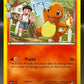 Pokémon TCG: 2016 Charmander RC3/RC32 XY: Generations Radiant Collection