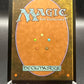 MTG TCG: Watery Grave - Ravnica: City of Guilds (RAV)