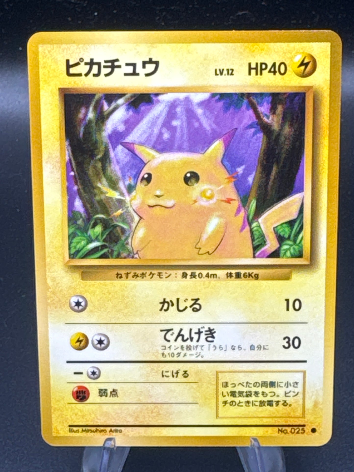 Pokémon TCG: Japanese Pikachu No.025 - Expansion Pack