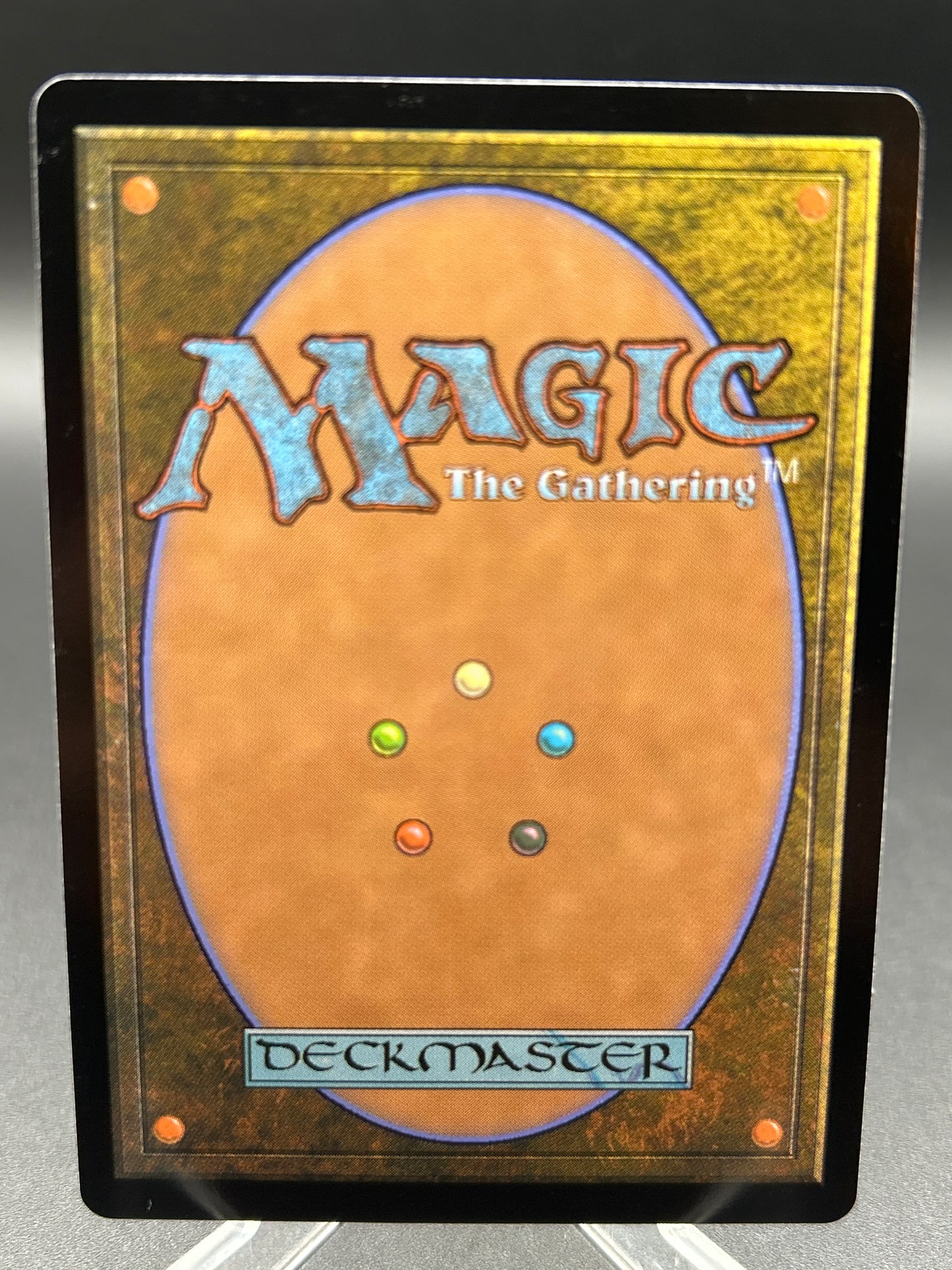 MTG TCG: Floodfarm Verge R 0259 - Duskmourn: House of Horror