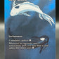 MTG TCG: Mystic Remora M 0016  - Avatar: The Last Airbender