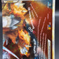 Pokemon TCG 2010 Suicune & Entei LEGEND 95/95 HG&SS Unleashed (Bottom Half)