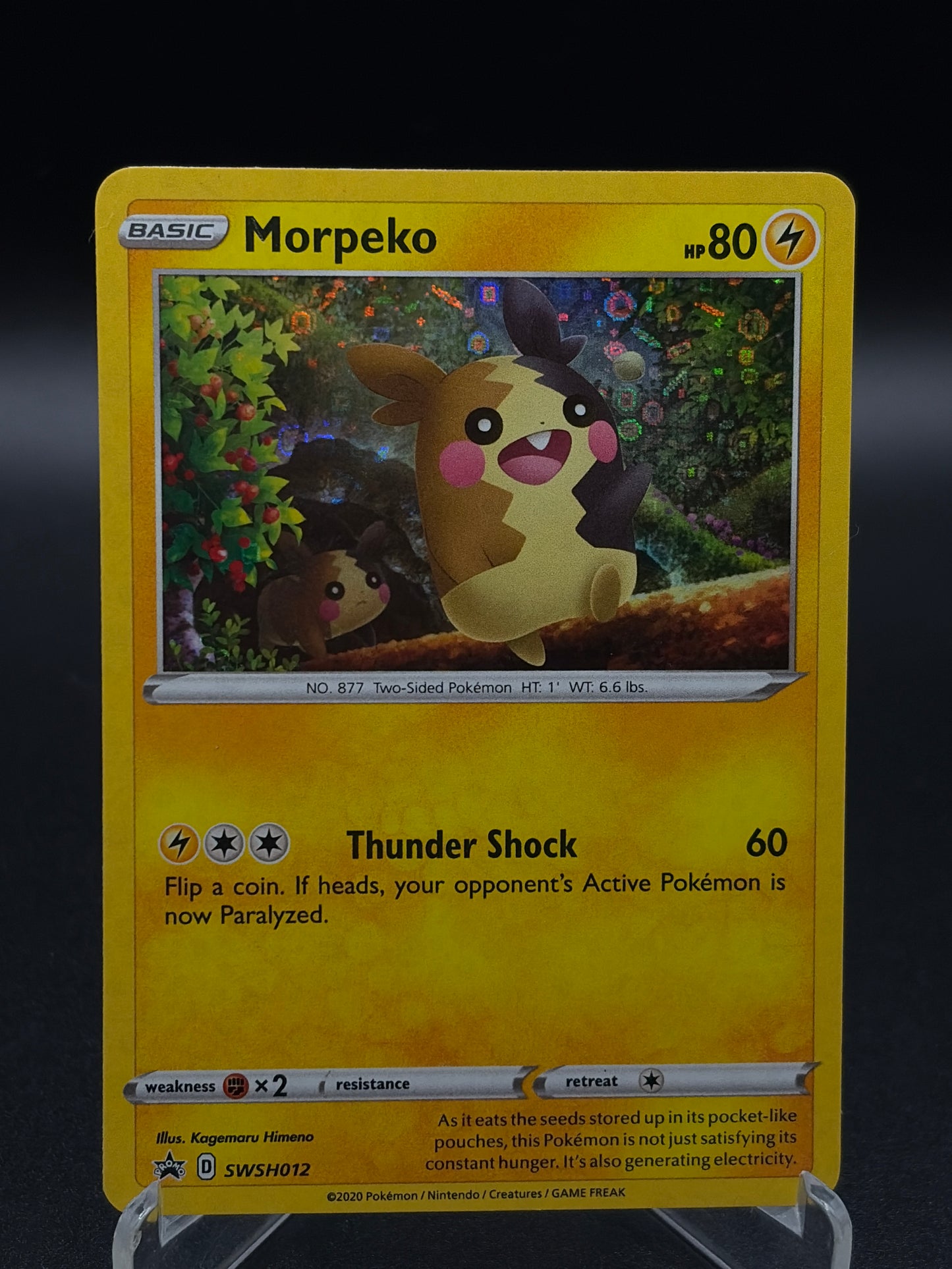 Pokémon TCG: 2020 Morpeko - SWSH012 - SWSH: Sword & Shield Promo Cards (SWSD)