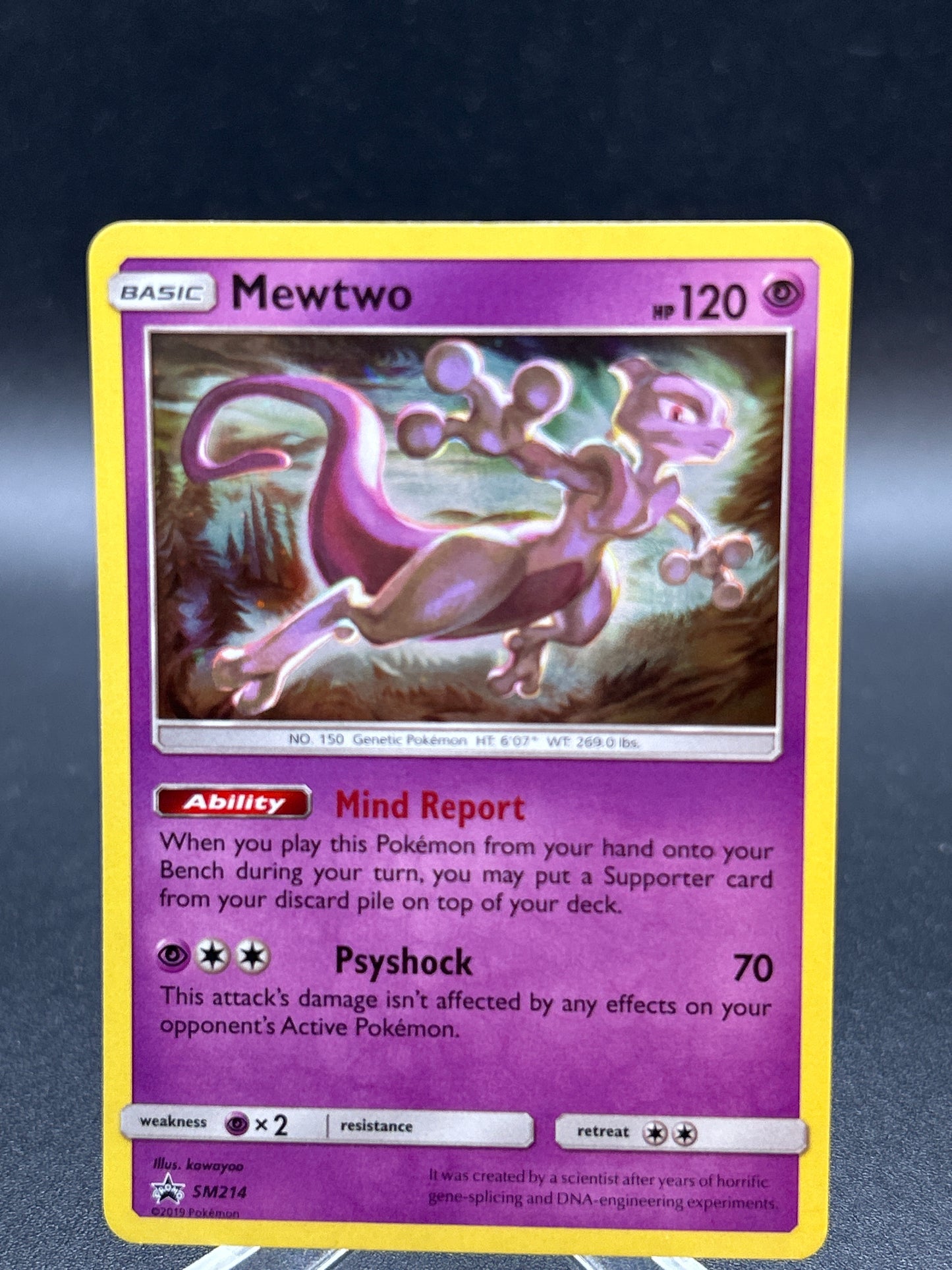 Pokémon TCG: 2019 Mewtwo SM214 SM: Sun & Moon Promos (LP)