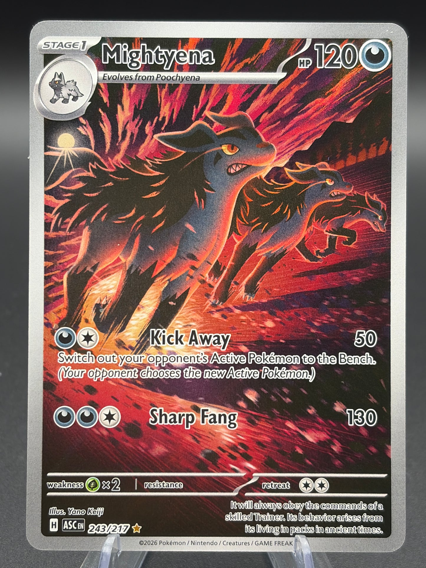 Pokémon TCG: 2026 Mightyena 243/217 - ME: Ascended Heroes