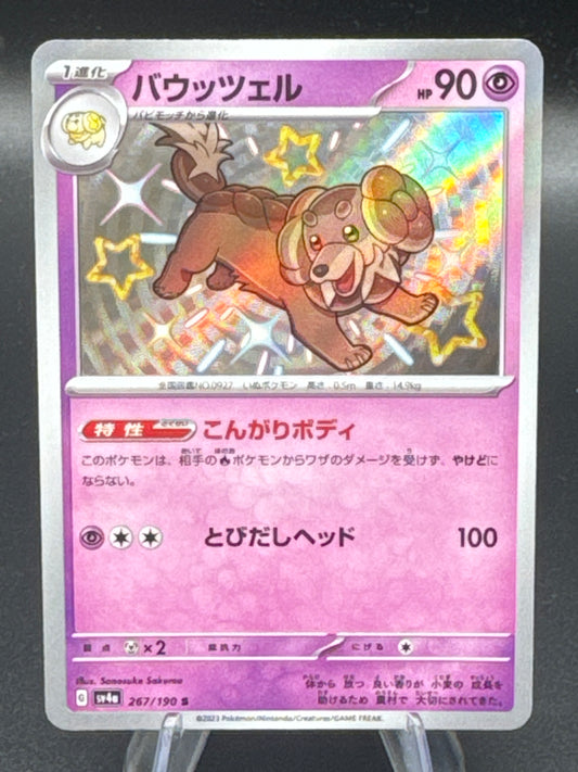 Pokémon TCG: 2024 - Dachsbun - 267/190 - SV4a: Shiny Treasure ex (SV4a)