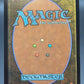 Magic The Gathering: Desert Were-Worm (Showcase) (Surge Foil) - The Hobbit (HOB)
