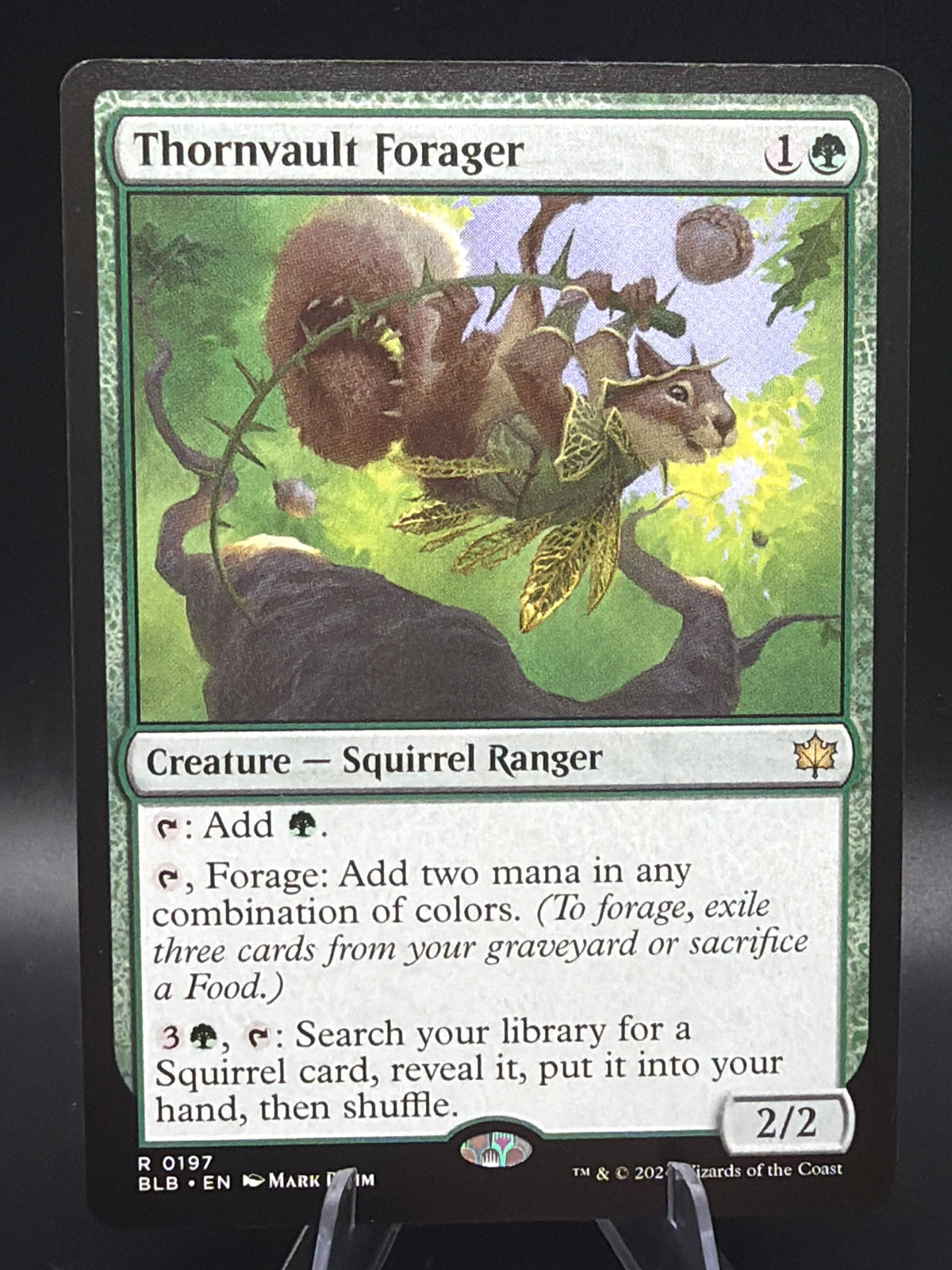 MTG TCG: Thornvault Forager - Bloomburrow (BLB)