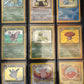 Pokémon TCG: Complete Jungle Set - NM/LP
