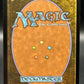 Magic The Gathering: 2026 Gleaming Splendor - The Hobbit (HOB)