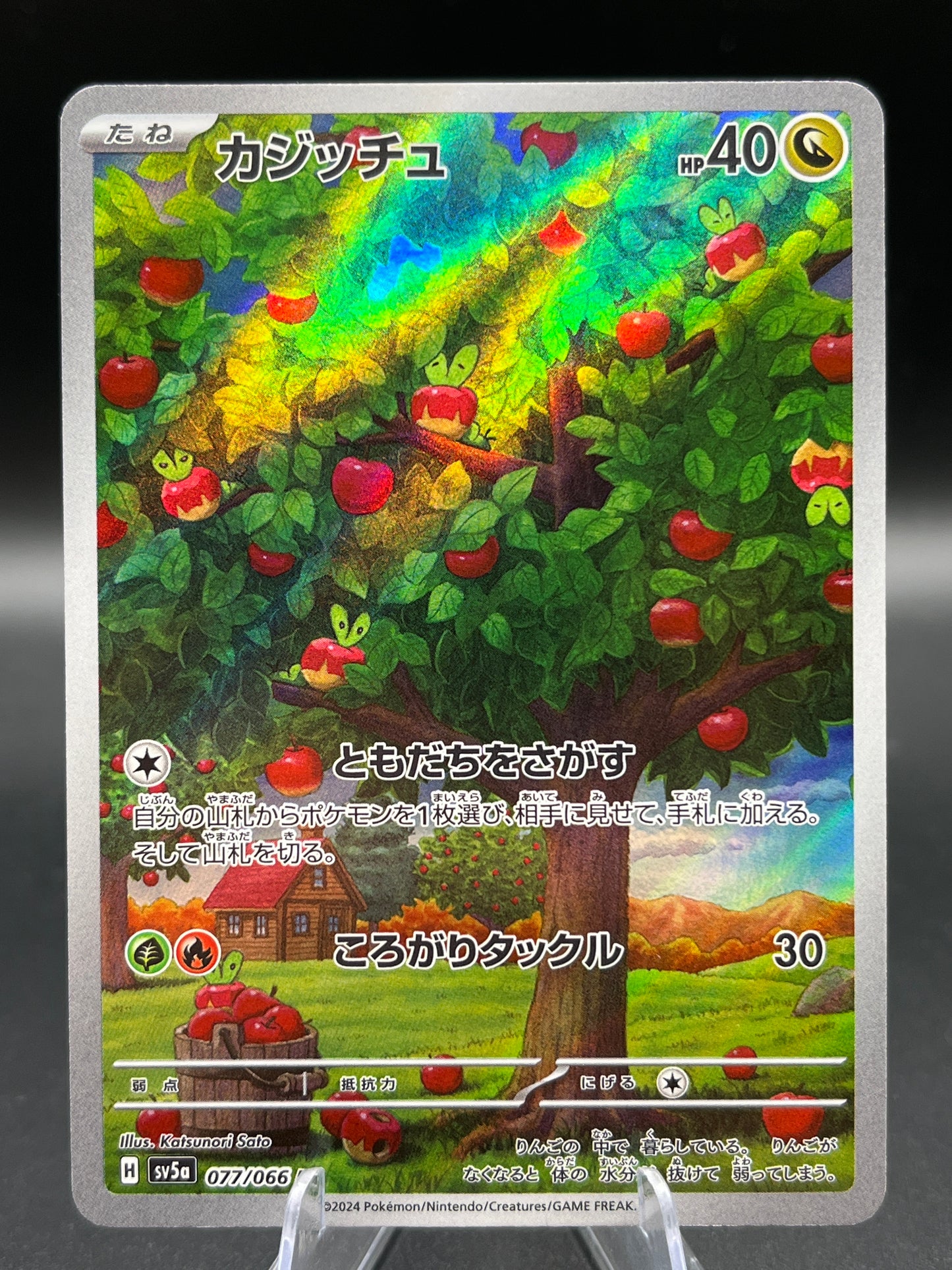 Pokémon TCG: 2024 Japanese Applin 077/066 AR Crimson Haze sv5a