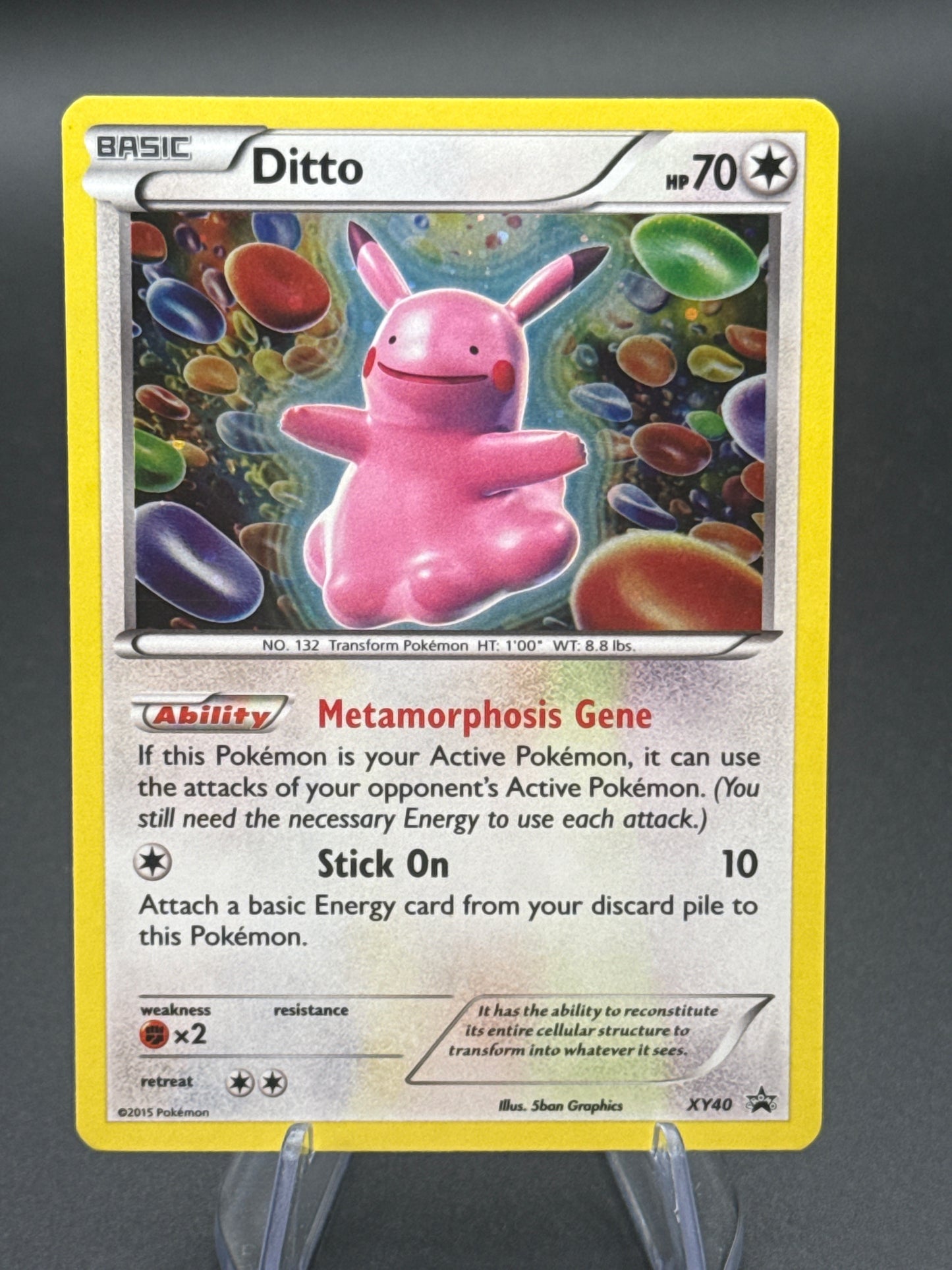 Pokémon TCG: 2015 Ditto XY40 XY: XY Promos