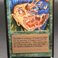 MTG TCG: Metamorphosis ARN: Arabian Nights
