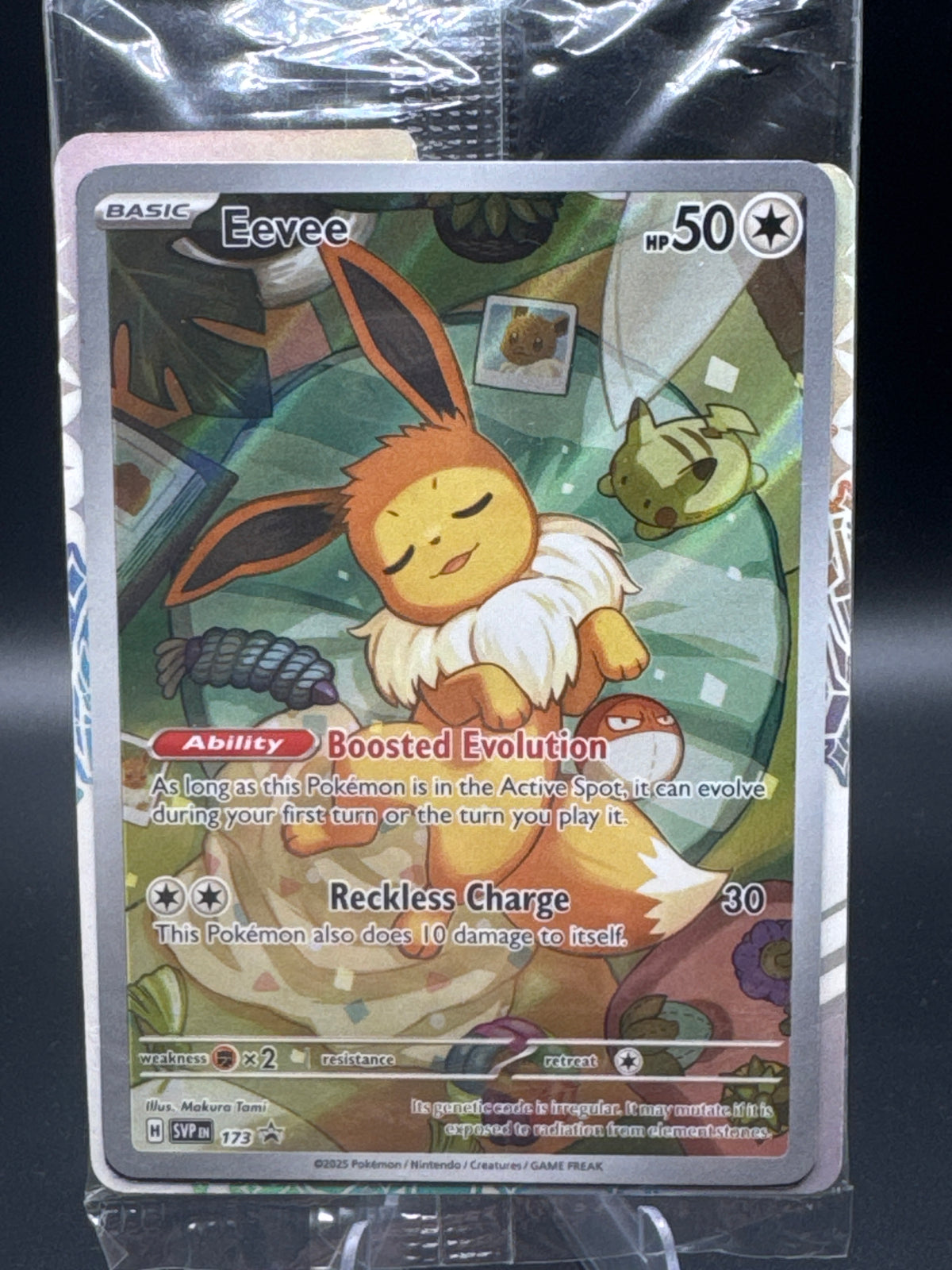 Pokémon TCG: 2024 Eevee - #173 - SVP: Scarlet & Violet Promo Sealed
