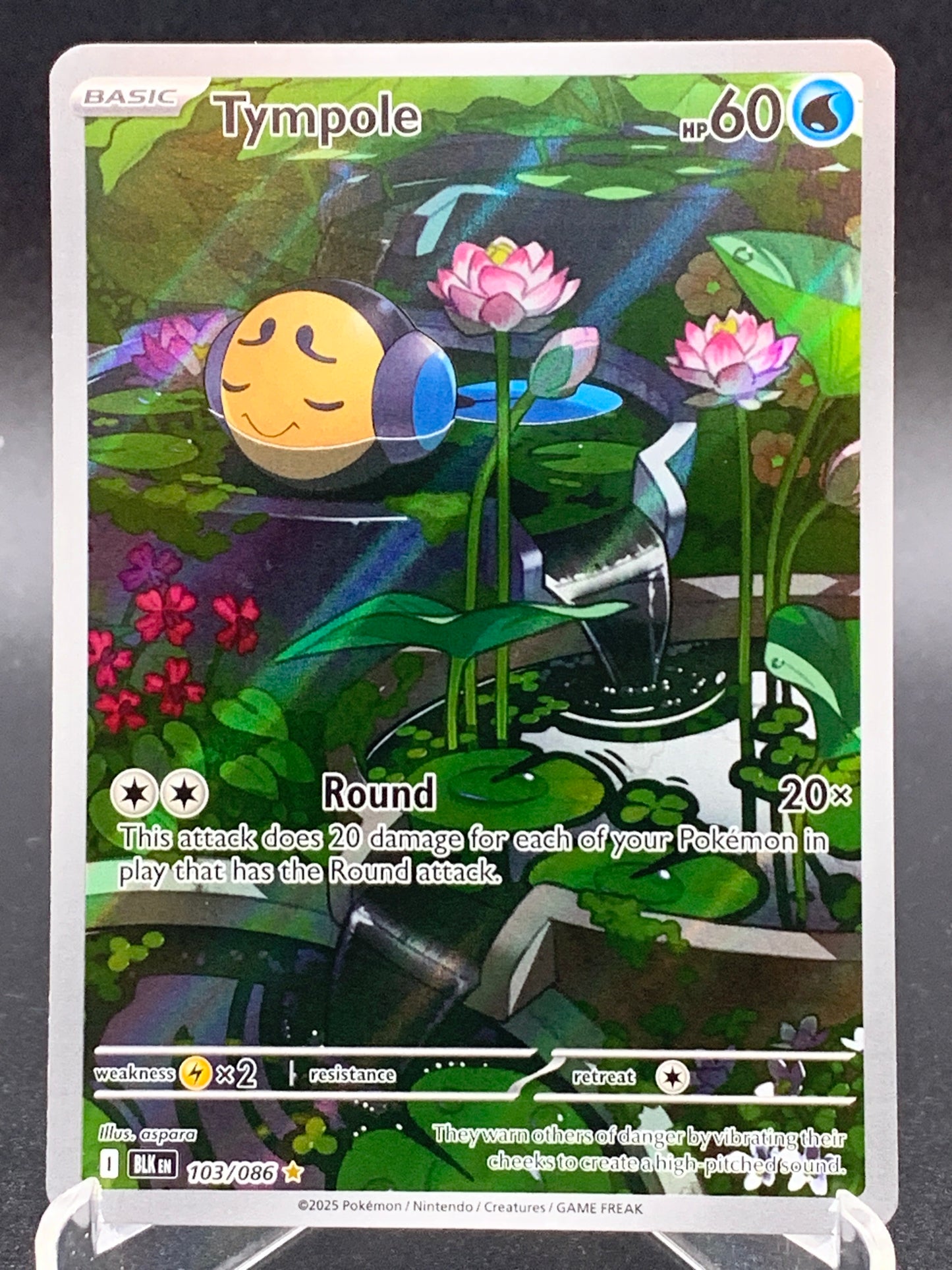 Pokémon TCG: 2025 Tympole 103/086 SV: Black Bolt