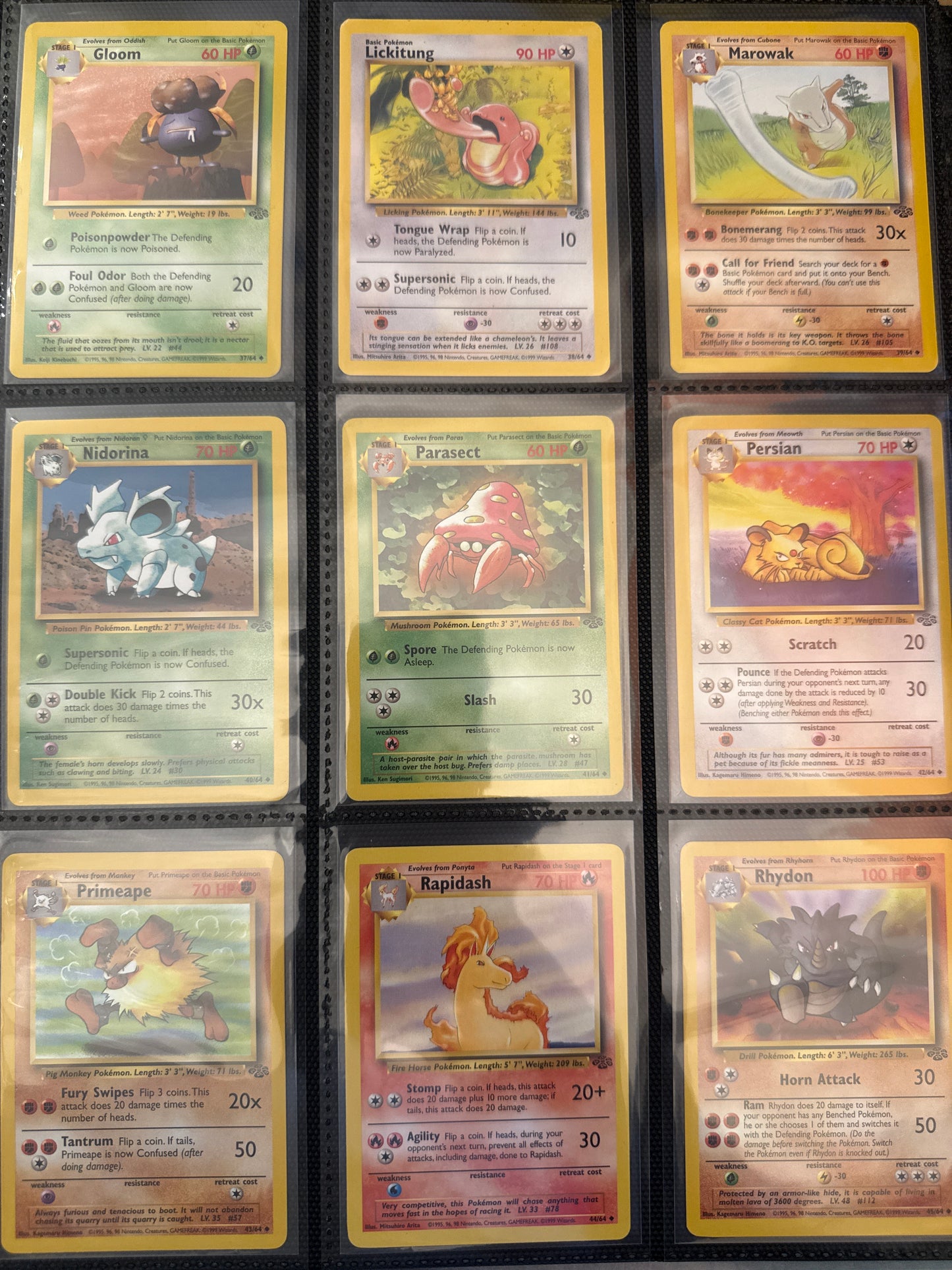 Pokémon TCG: Complete Jungle Set - NM/LP