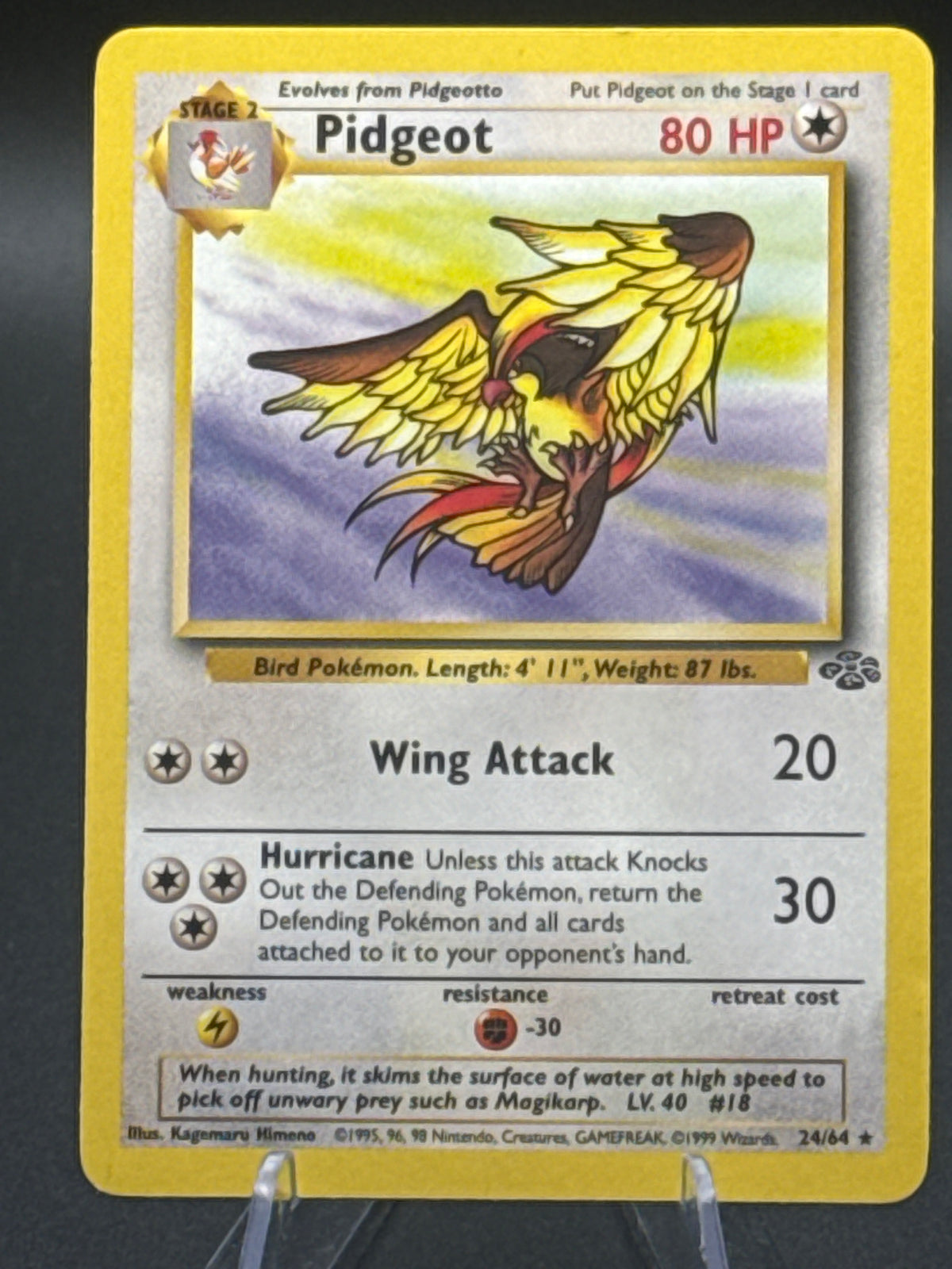 Pokémon TCG 19996 Pidgeot 24/4 Jungle