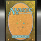 MTG TCG: Abandoned Air Temple R 0263 - TLA: Avatar the Last Airbender