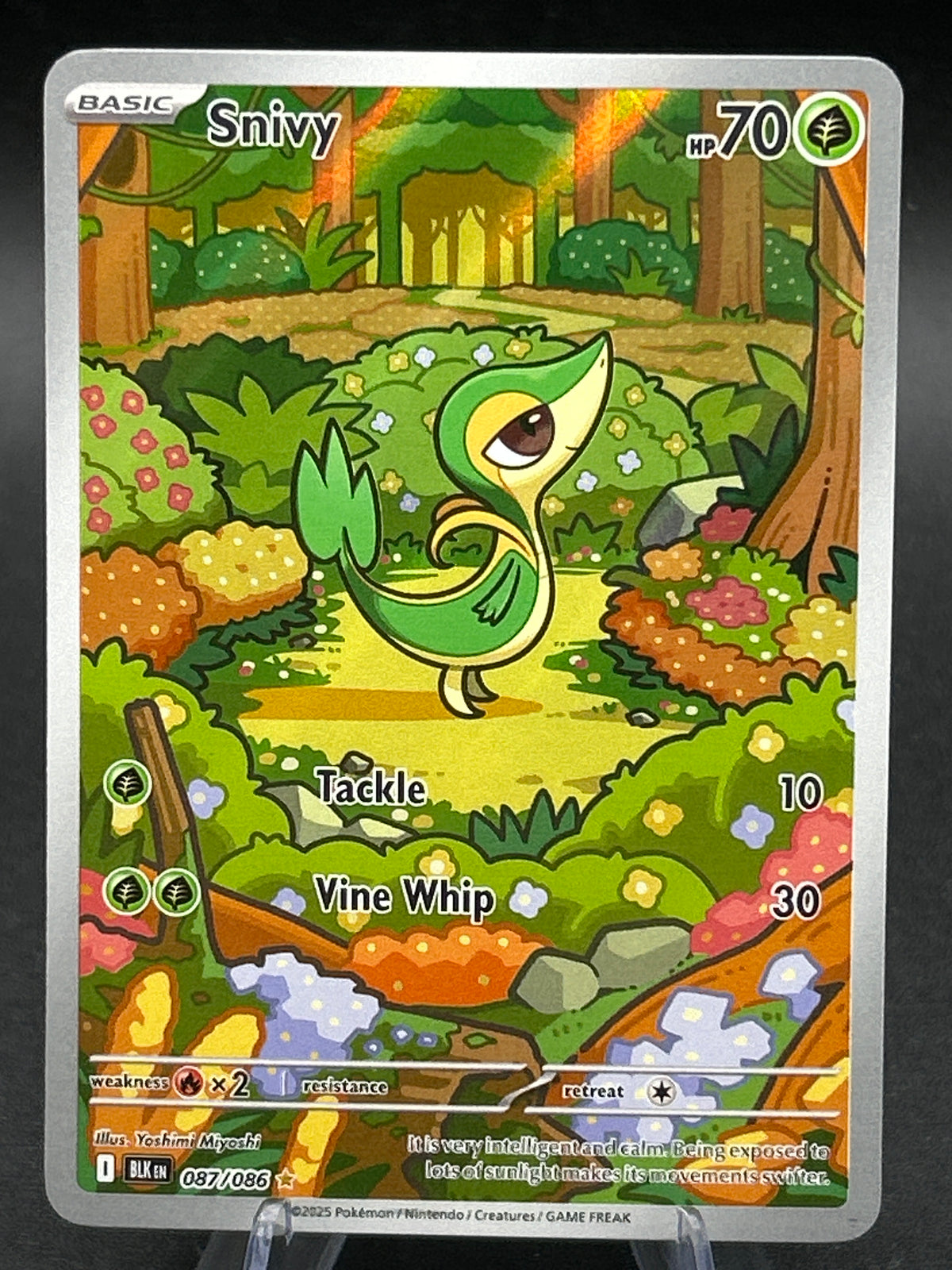 Pokémon TCG: 2025 Snivy - 087/086 - SV: Black Bolt