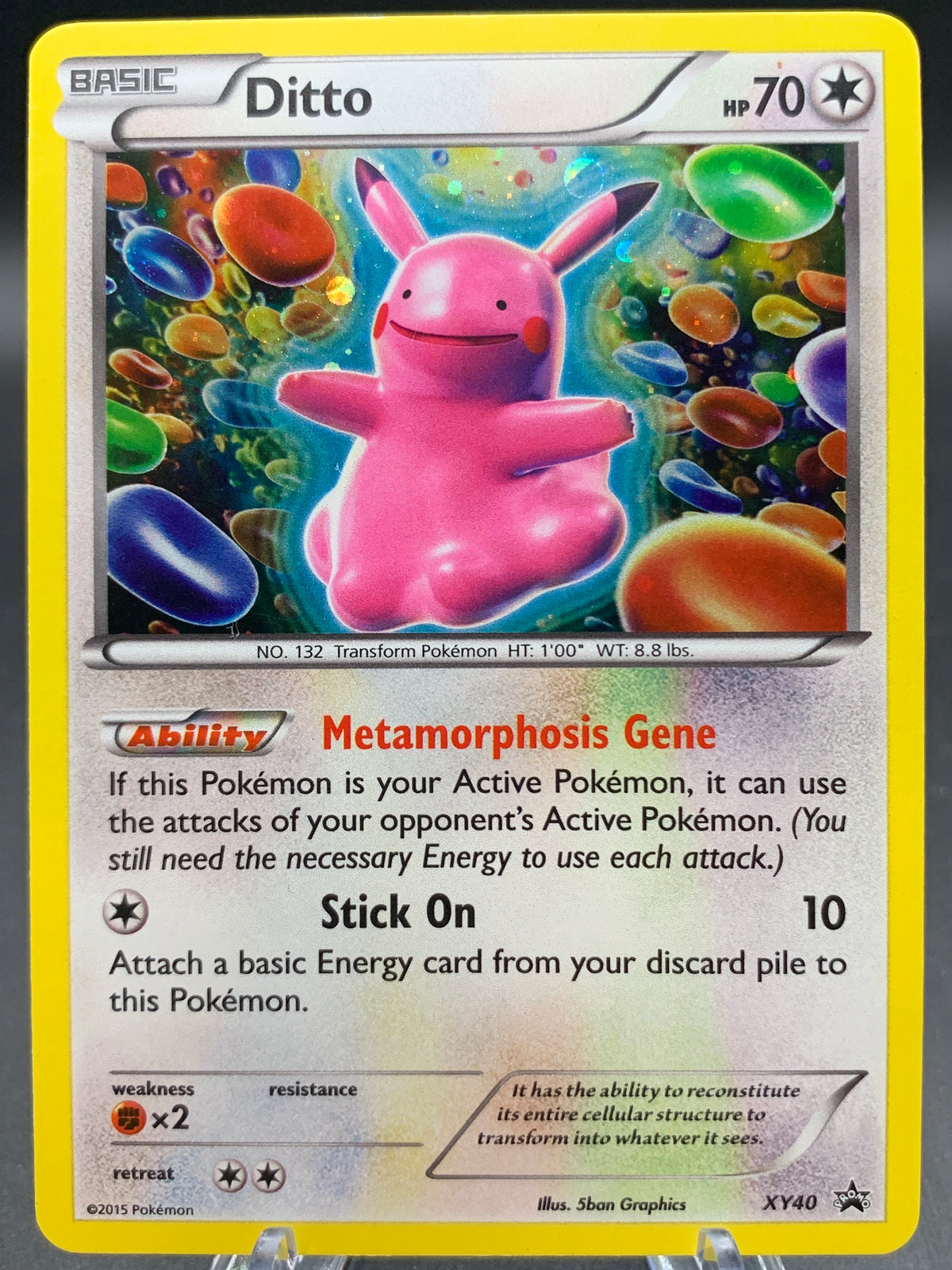 Pokémon TCG: 2015 Ditto - XY40 - XY: XY Promos