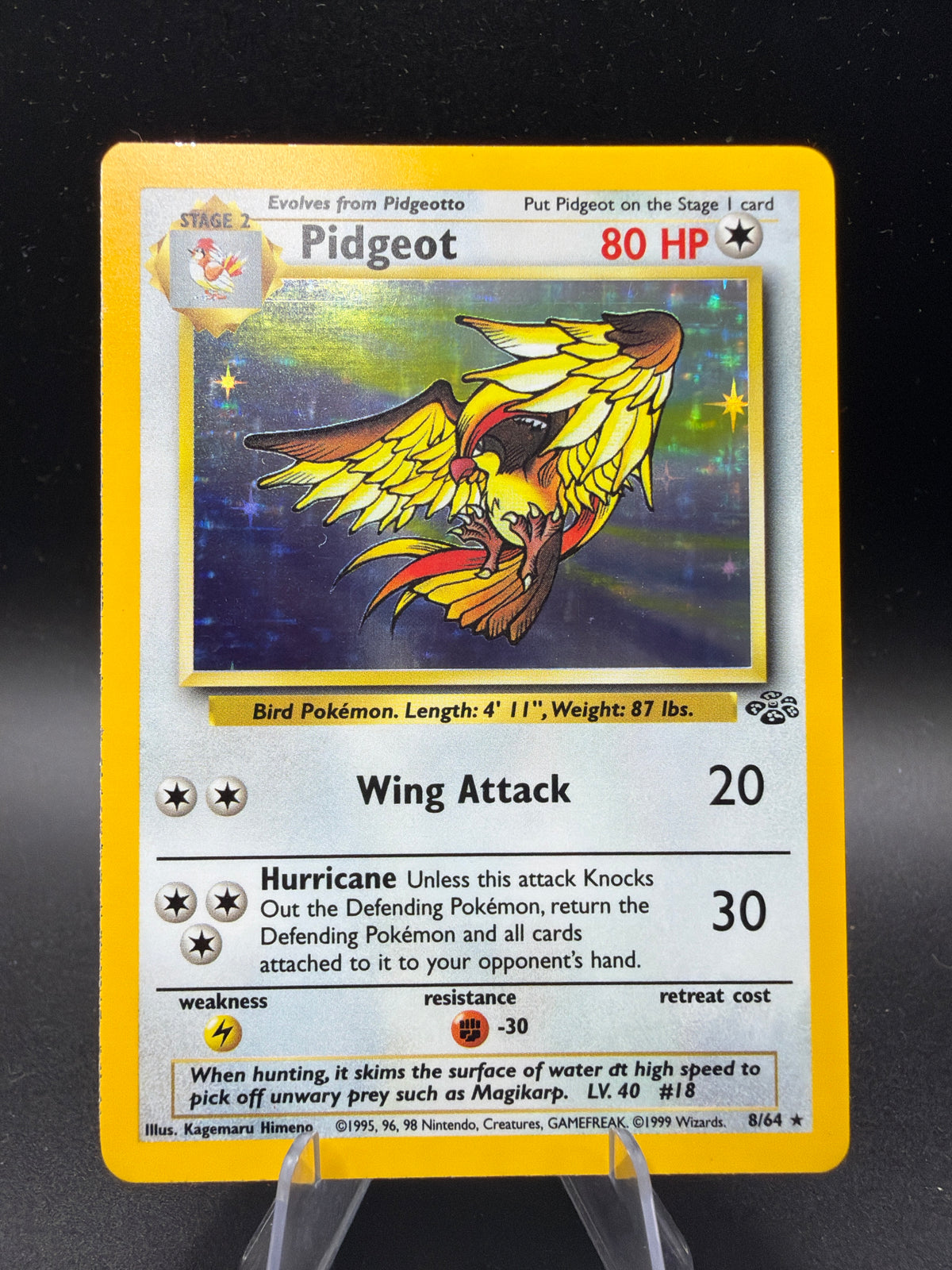 Pokémon TCG: 1999 Pidgeot - 8/64 - Jungle Unlimited Holo
