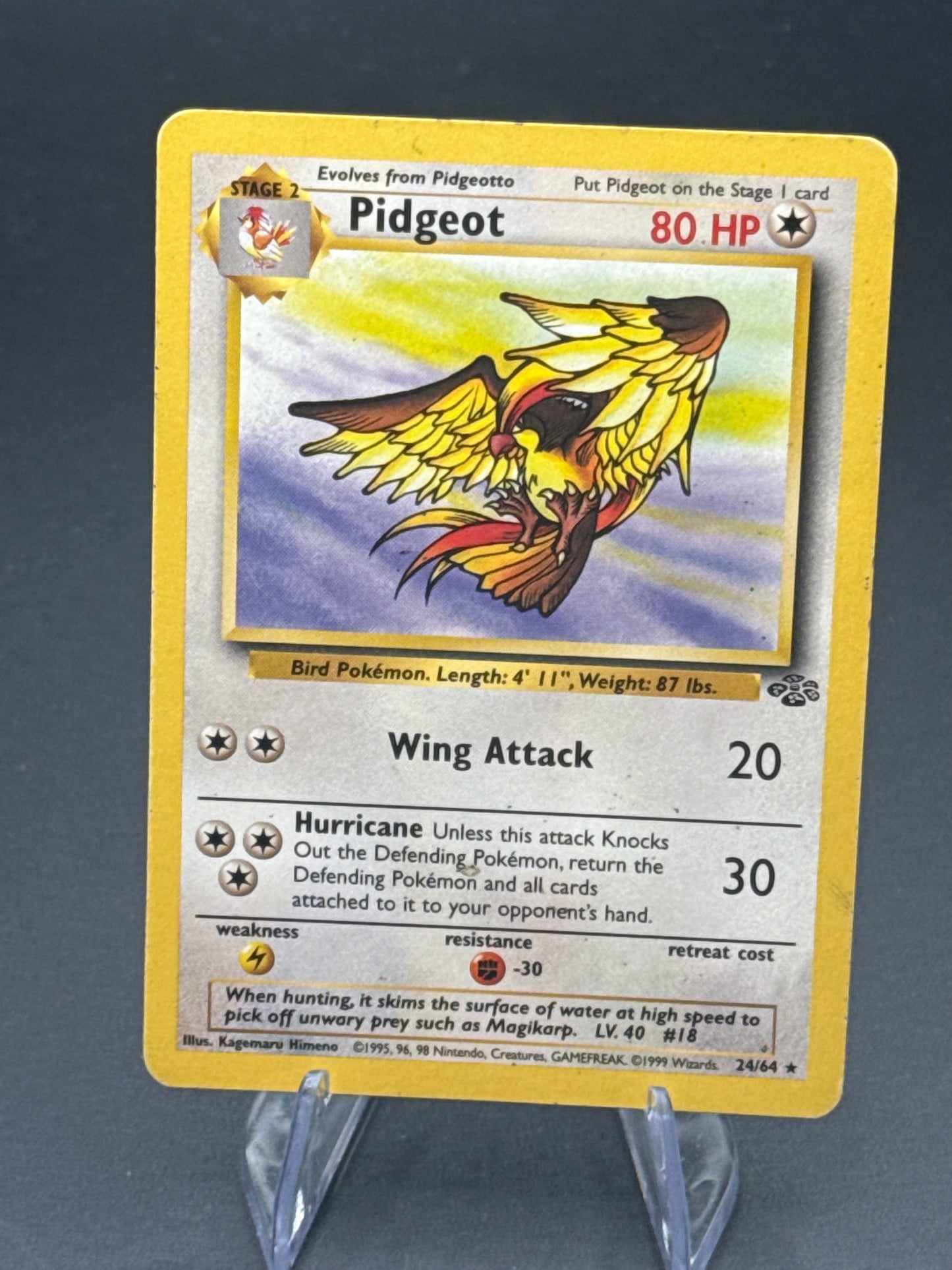 Pokémon TCG 1999 Pidgeot 24/64 Jungle