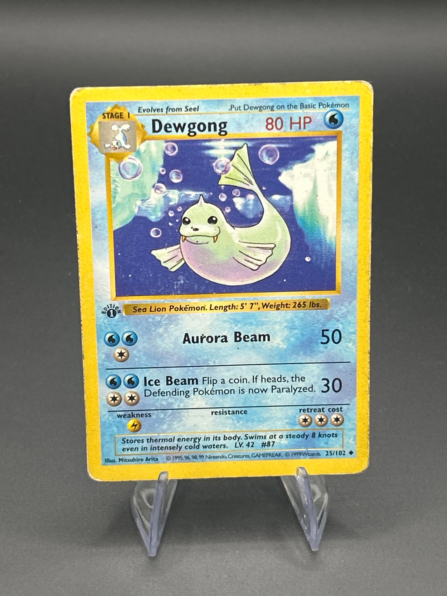 Pokémon TCG: Dewgong 25/102 Base Set Shadowless First Edition
