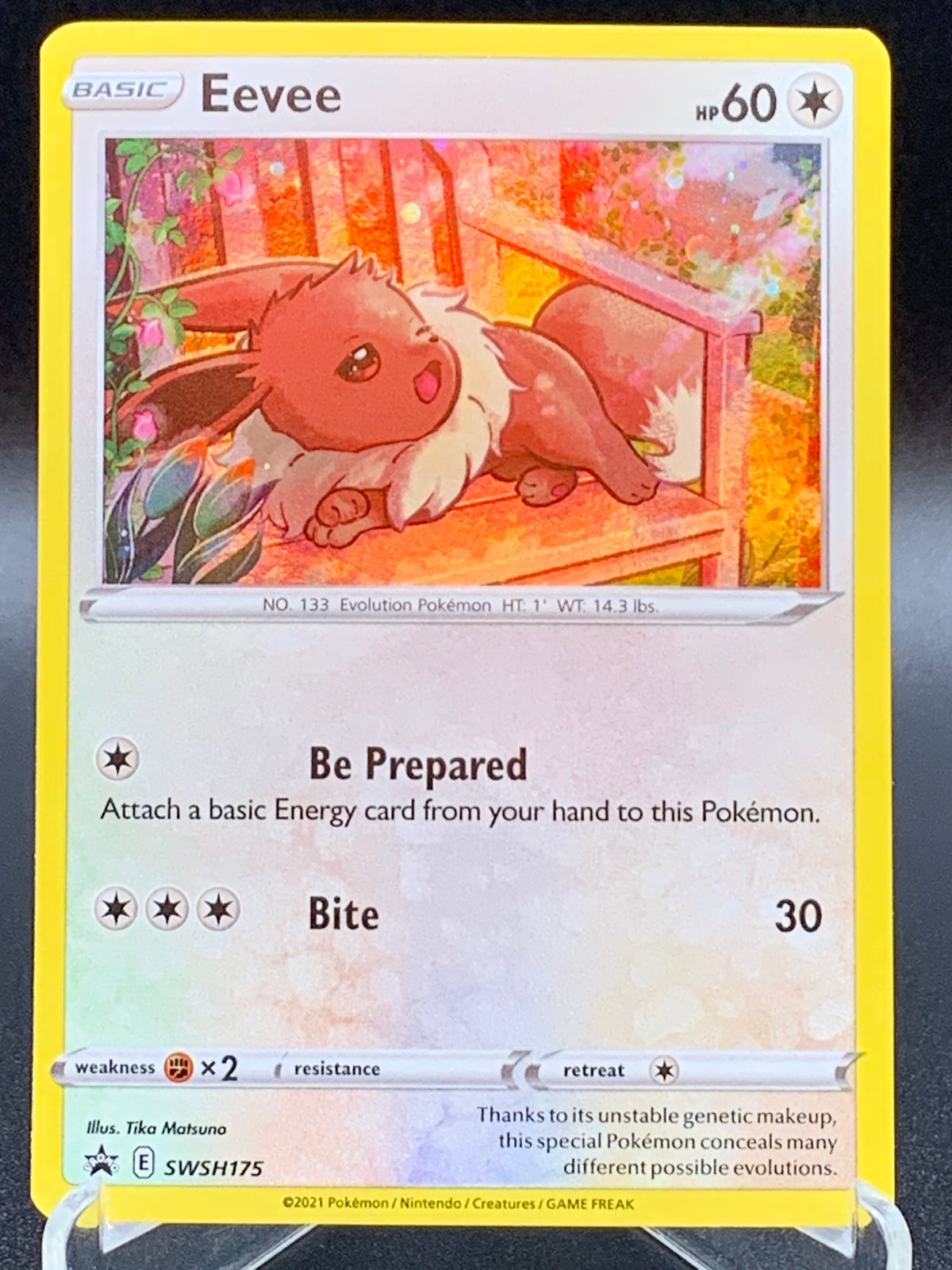 Pokémon TCG: 2021 Eevee SWSH175 SWSH: Promos