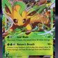Pokémon TCG: 2016 Leafeon EX - 10/83 - XY: Generations