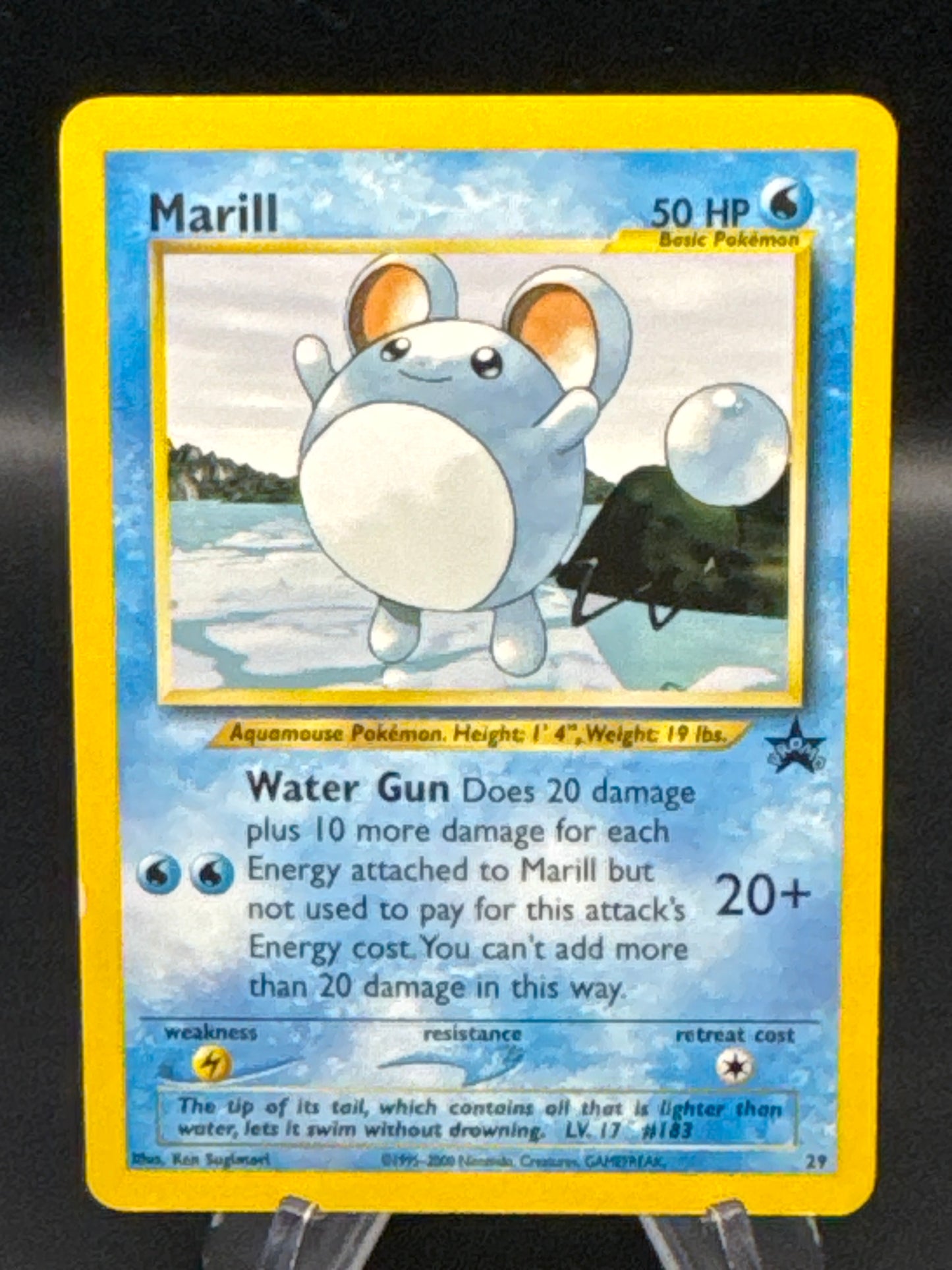 Pokémon TCG: 1999 Marill - #29 - WoTC Promo