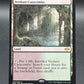 MTG TCG: Verdant Catacombs 260/303  - Modern Horizons 2 (MH2)