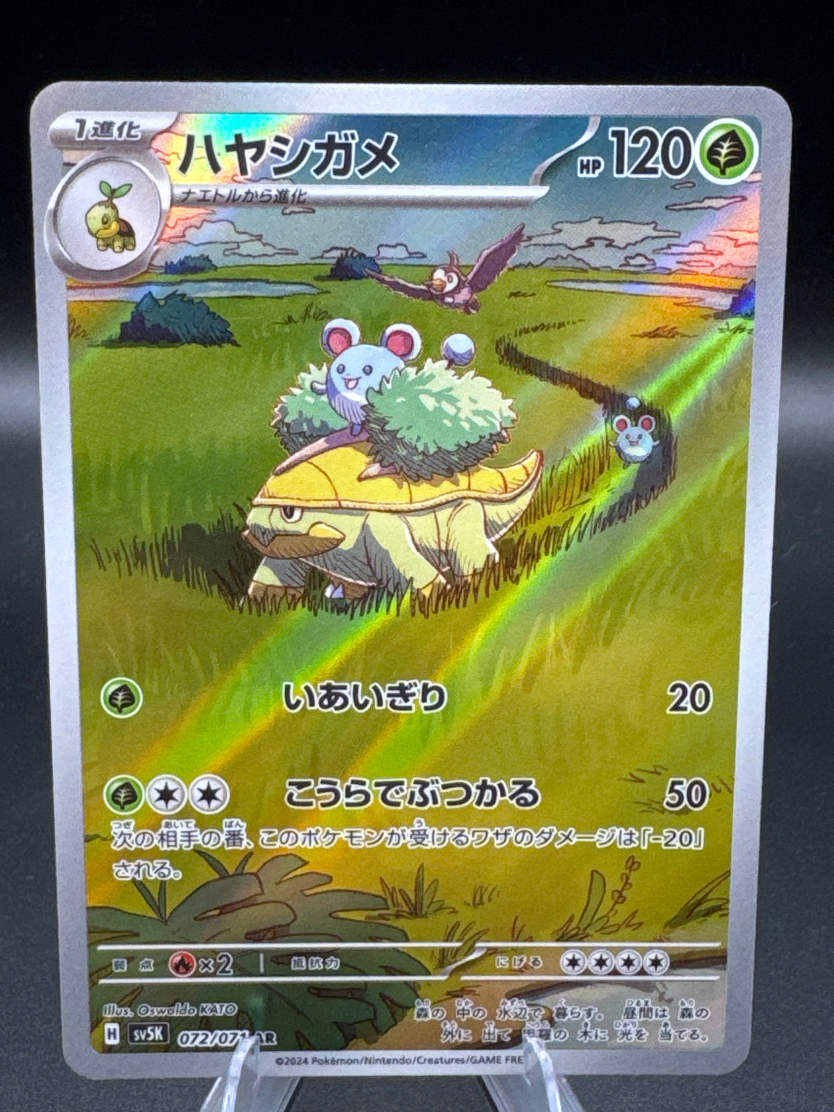 Pokémon TCG: 2024 Japanese Grotle 072/071 Wild Force