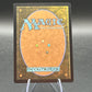 MTG TCG:  Aragorn, the Uniter M 0434 (Borderless) - Universes Beyond: The Lord of the Rings: Tales of Middle-earth (LTR)