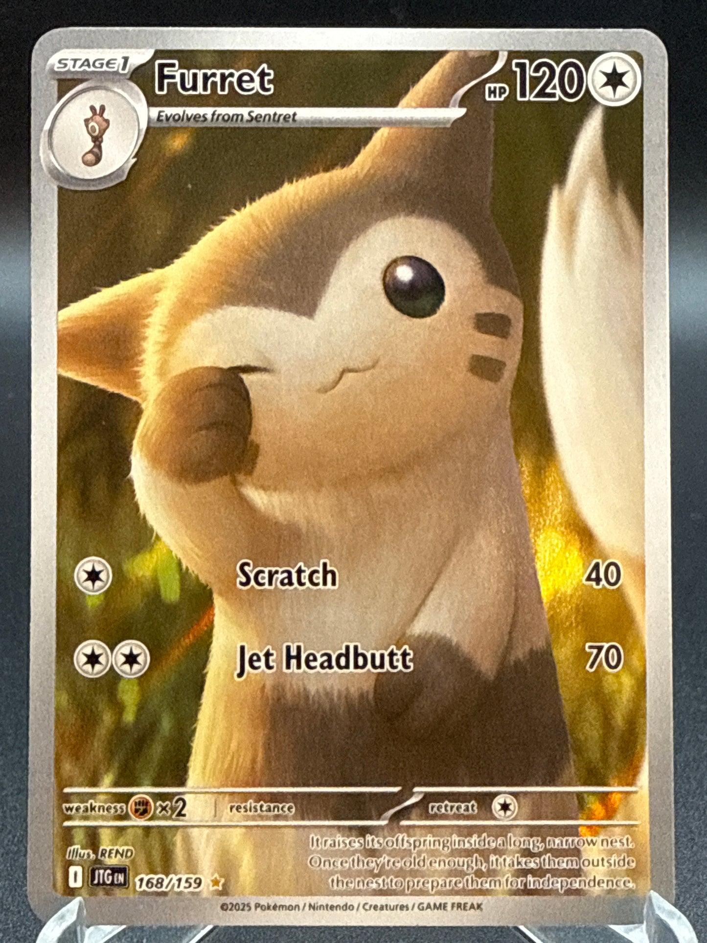 Pokémon TCG: 2025 Furret - 168/159 - SV: Journey Together