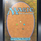 Magic The Gathering: 2004 Forbidden Orchard - Champions of Kamigawa (CHK)