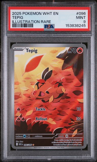 Pokmon TCG: Graded Slabs (PSA, CGC, BGS) Epic Trading Collectibles Pokmon TCG: Graded Slabs (PSA, CGC, BGS) Epic Trading Collectibles