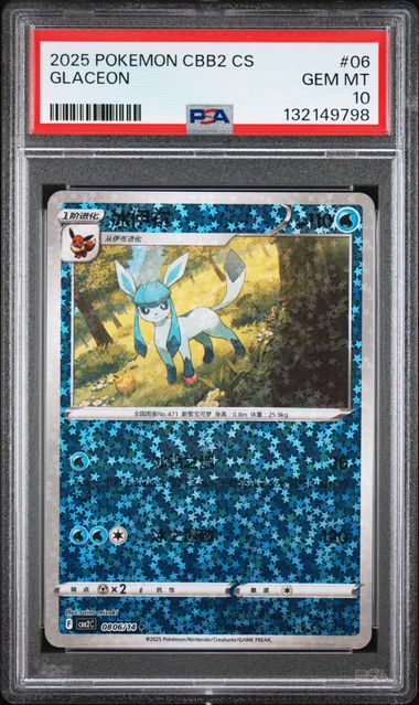 pokemon card graded slabs FunGuys Binder, 60 PSA Slab Holder, 6 Pocket Graded Card Storage, Slab Binder, PSA Card Graded Display Case Album, Zipper, MTG Card Collection Binder : Toys & Games Modern Acrylic Trading Card Slab