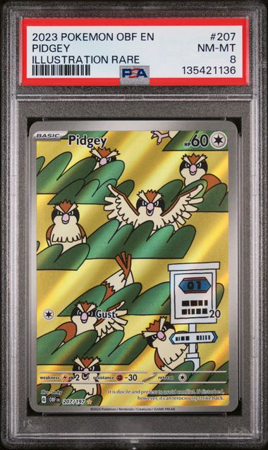 PSA 8 Pokémon TCG: 2023 Pidgey - 207/197 - SV03: Obsidian Flames