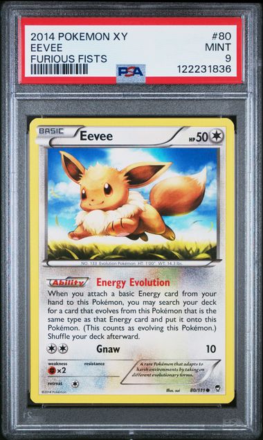 PSA 9 Pokemon TCG: 2014 Eevee 80/111 - XY: Furious Fists