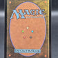 Magic The Gathering:  Artist's Talent - Bloomburrow (BLB)