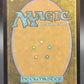 MTG TCG: Prismatic Vista (Borderless) M 0038 SPG: Special Guests