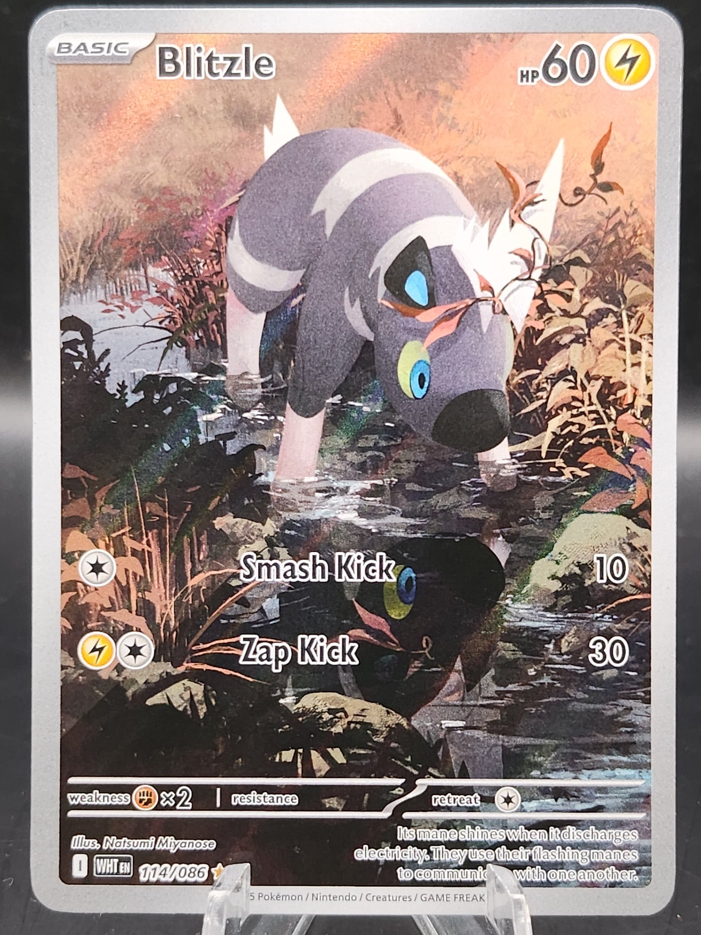 Pokémon TCG: 2025 Blitzle - 114/086 - SV: White Flare