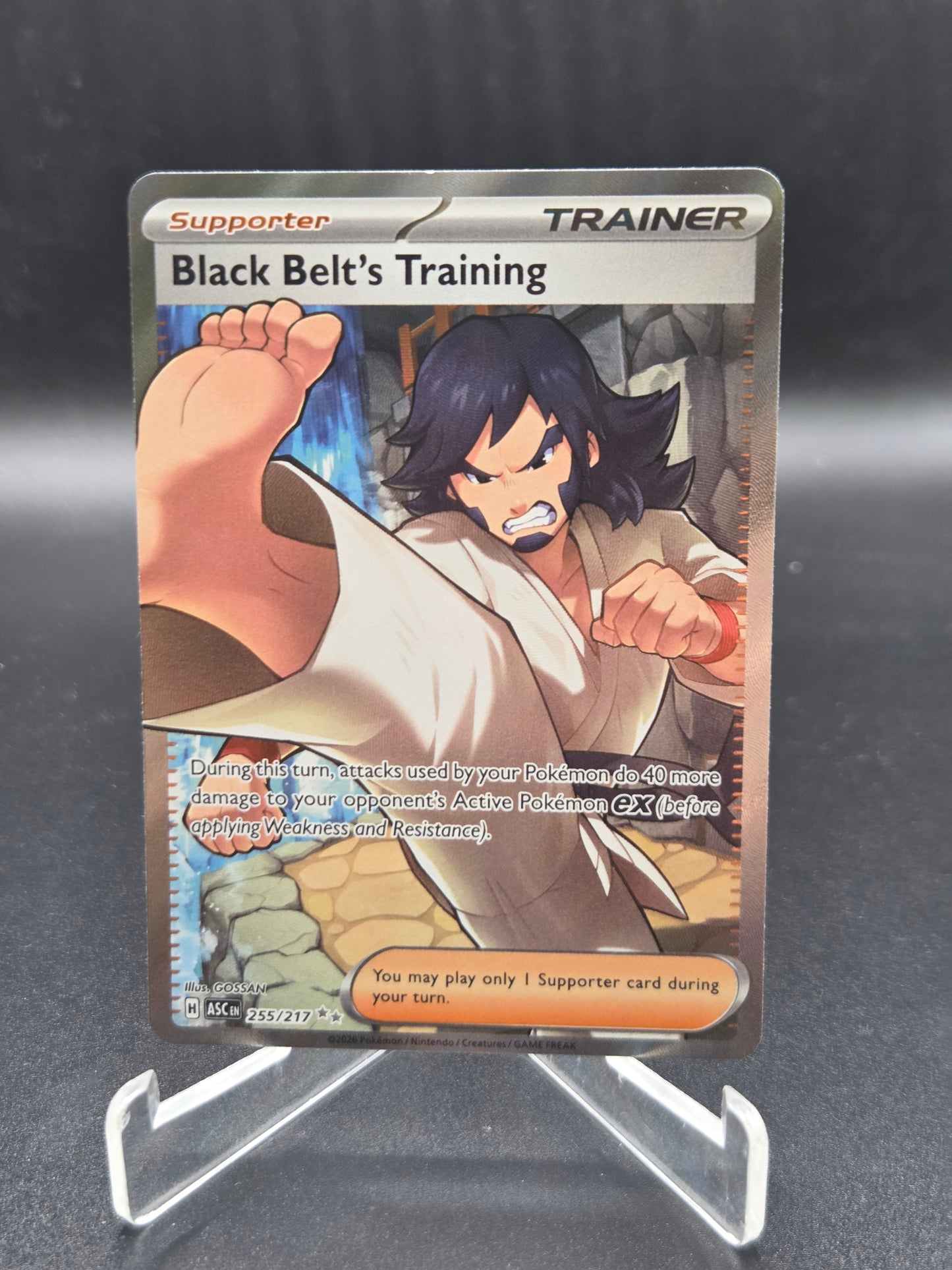 Pokémon TCG: 2026 Black Belt's Training 255/217 ME: Ascended Heroes (ASC)
